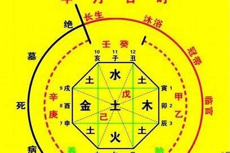 十天干 查詢|生辰八字算命、五行喜用神查询（免费测算）